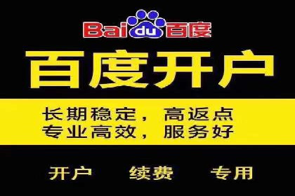 百度SEO推广公司案例精选：揭秘关键词优化策略
